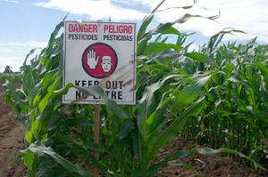 EPA Reverses Course on Safety of Pesticide Used on Crops