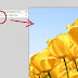 photoshop Magic Wand Tool
