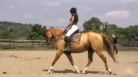 Ms. Jean provides Training for green horses, some problem, and many rehabilitative horses