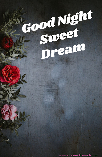 good night red rose good night red rose