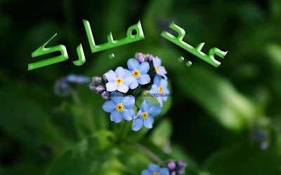 Eid Ul Zuha Adha Mubarak 2012 Card Flower Wallpapers Urdu Text 006