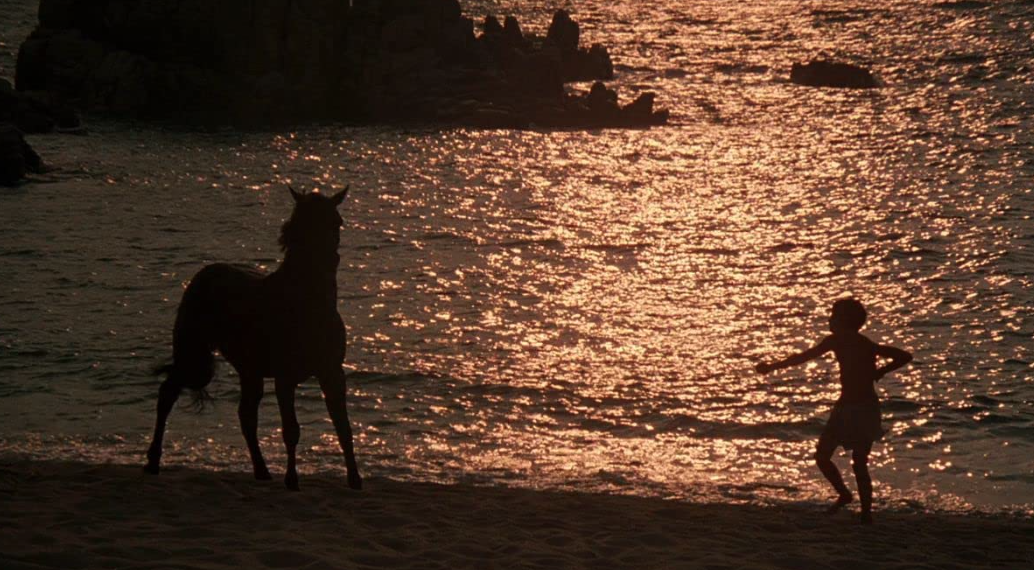 Abraham Murillo “El Corcel Negro (1979)” Reseña