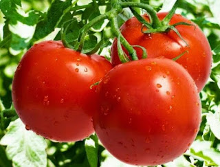 8 Manfaat tomat untuk tubuh