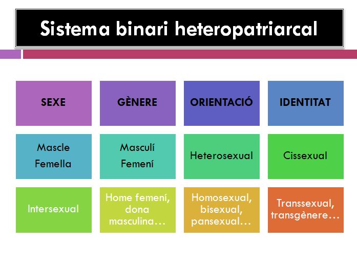 Sistema binari heteropatriarcal