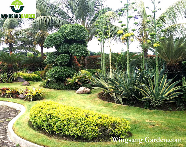 Jasa Tukang Taman Jasa Pembuata Taman Bali Tropis