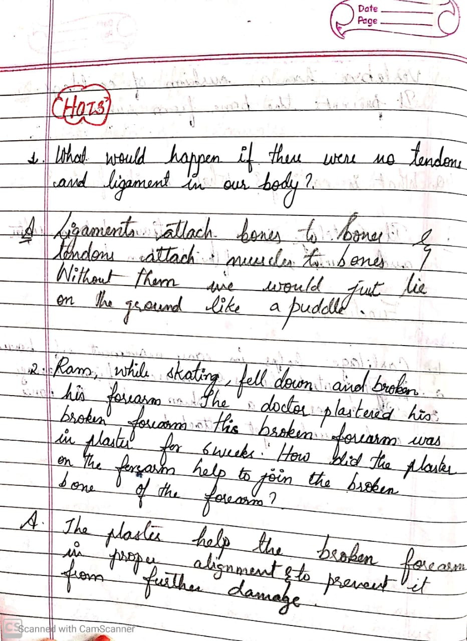 Aps bareilly holiday homework 2020 image