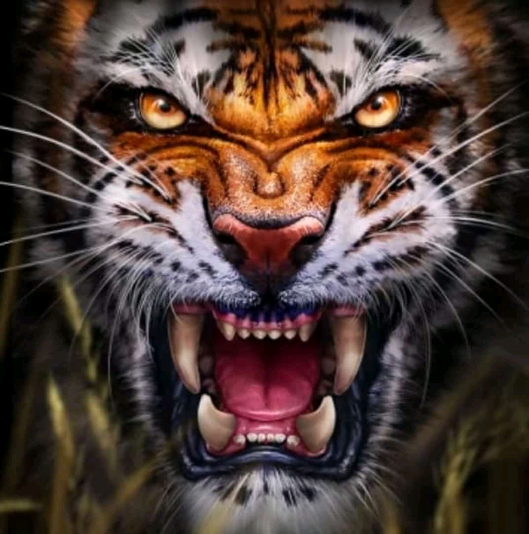 FREE Predator Avatar Collection In 8 Ball Pool 2023 free-predator-avatar-collection-in-8-ball-pool-2023