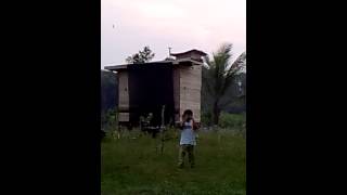 18 Desain Rumah Walet Mini Sederhana Koleksi Suara Walet Lengkap