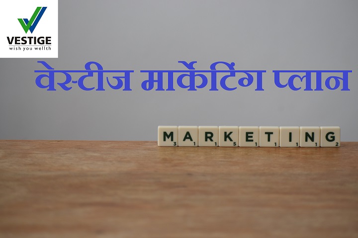 Vestige business plan pdf 2020 picture