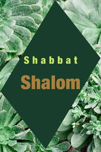 Shabbat Shalom Card Messages - Awesome Greeting Cards - 10 Unique Picture Images