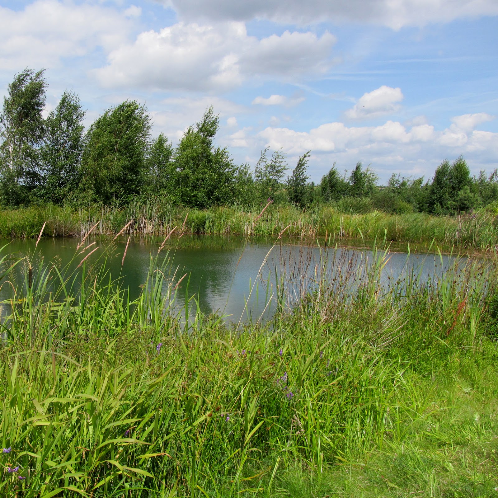 Draussen Forstbotanischer Garten Tharandt, Teil 1