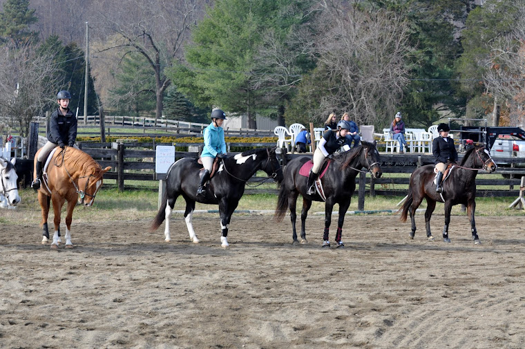 Miran Farm/Natural Connection Schooling Shows are offered yearly!