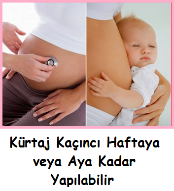 saglik mektebi blogger