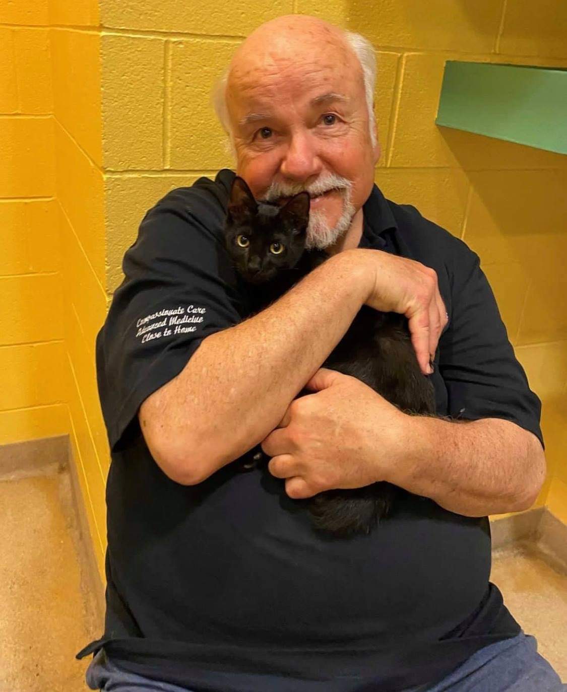 Good Karma Pet Rescue Cat Information Page June Transport Pictures