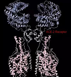 Coronavirus Update Coronavirus Update