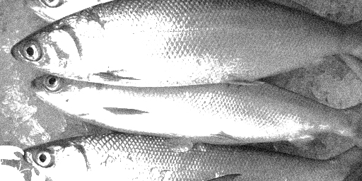 Renungan Cerita Inspirasi Belajar dari Ikan Bandeng