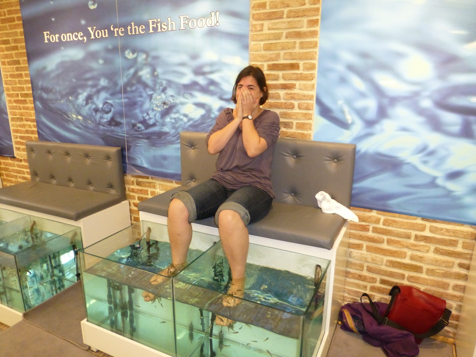 Christopher's Expat Adventure Dr. Fish