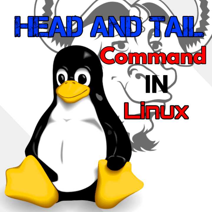 head and tail command in linux with examples Pro Tech guides