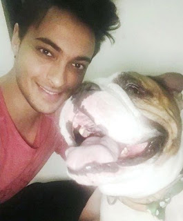Aayush Sharma, seorang pecinta anjing