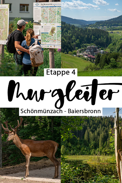 Premiumwanderweg Murgleiter | Etappe 4 von Schönmünzach nach Baiersbronn | Wandern nördlicher Schwarzwald 05