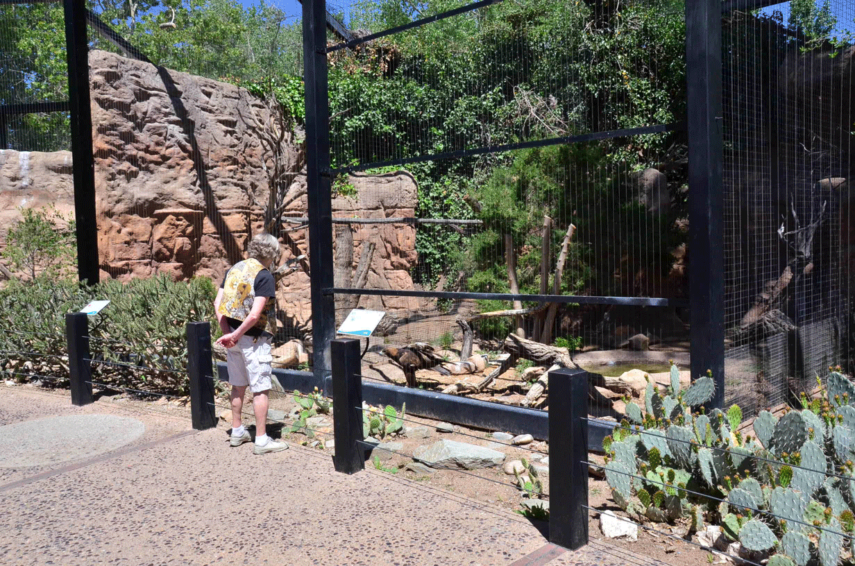 Zoo and Aquarium Design PianoWire Fence keeping the focus on the animal not the barrier