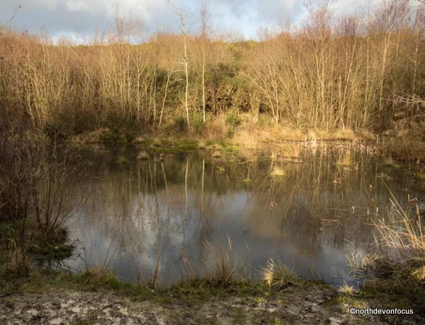 Meeth Quarry Nature Reserve (DWT) Photo copyright Pat Adams North Devon Focus