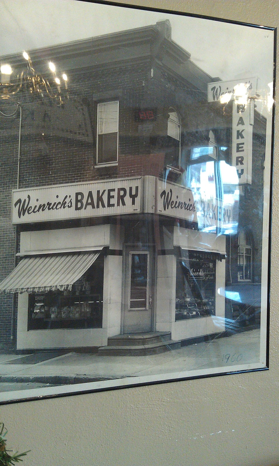 "What are you eating/ drinking?" Weinrich's Bakery Willow Grove, PA