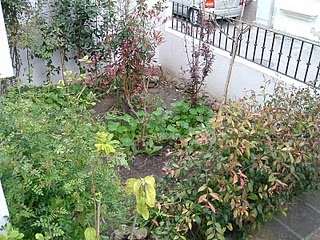 Venta de casas en La Linea de la Concepción