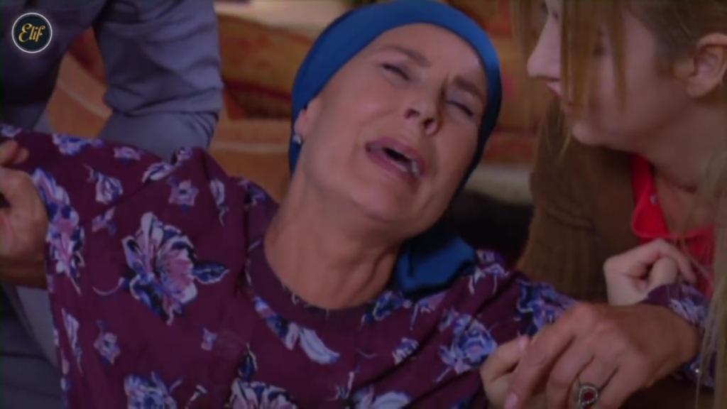 Elif odcinek 228: Wielka awantura w domu Emiroglu! [Streszczenie + Zdjęcia]