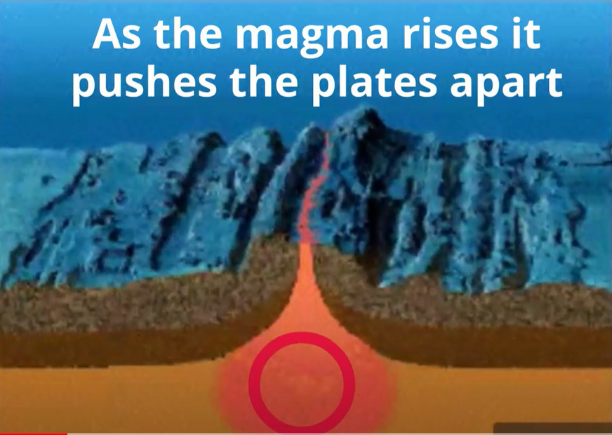 How the Tectonic Plates Move MooMooMath and Science