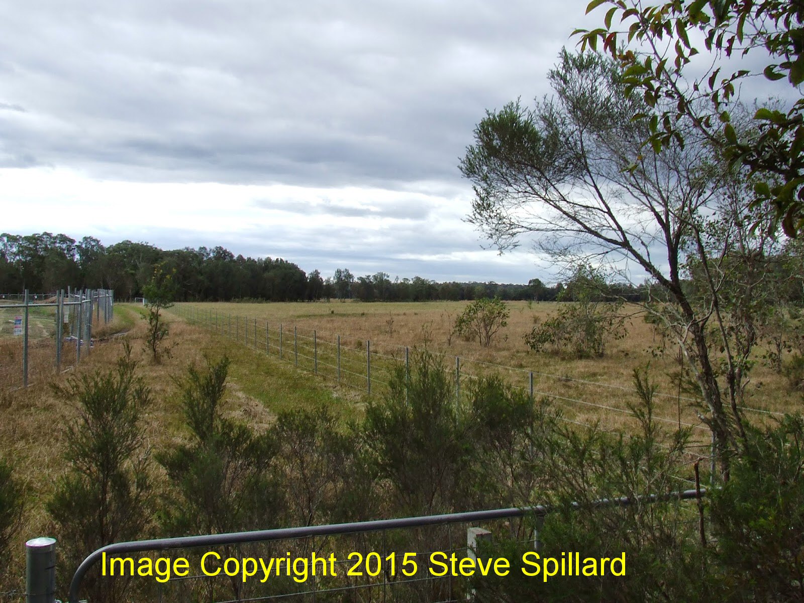 All things Woy Tuggerah RAAF Airfield WW2