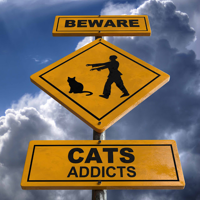 beware cat addicts road sign