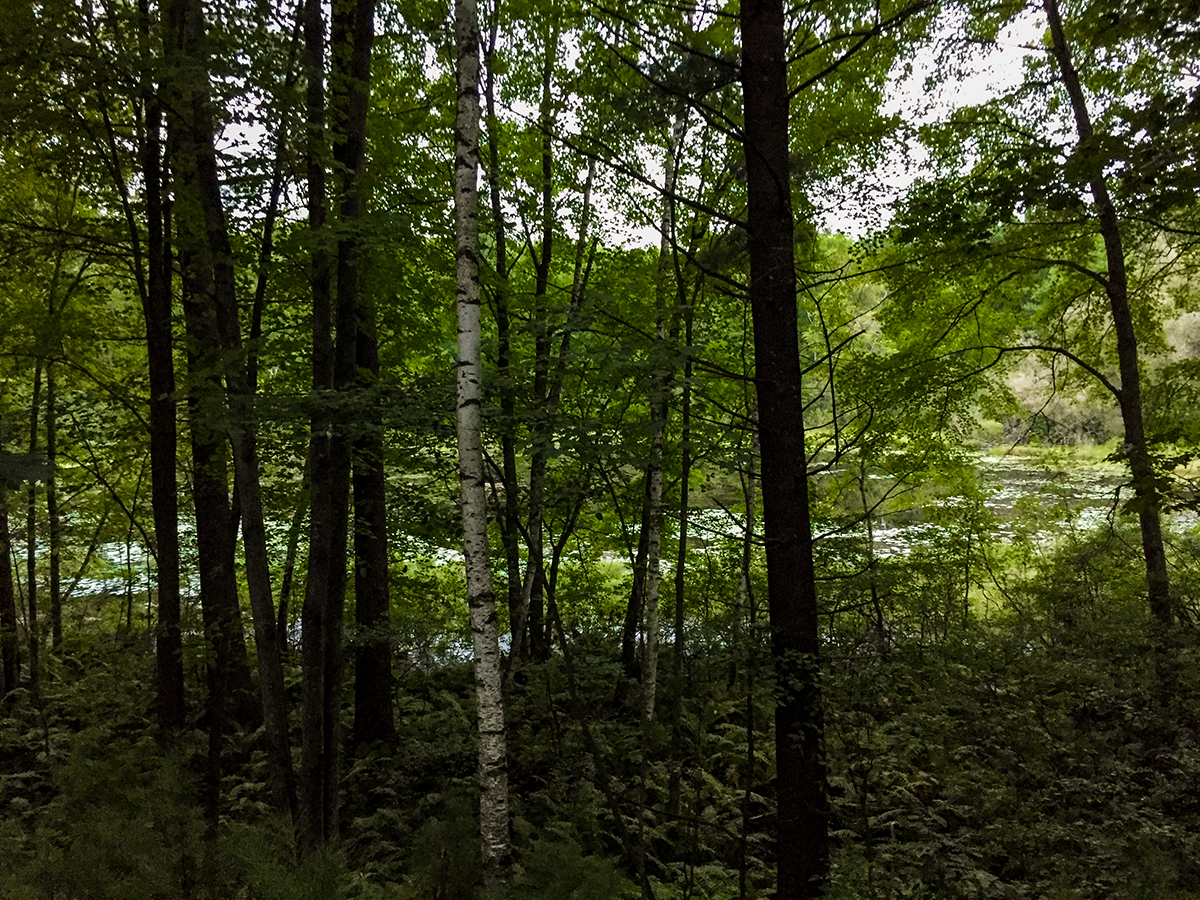 Hiking the Ice Age Trail Skunk and Foster Lakes Segment