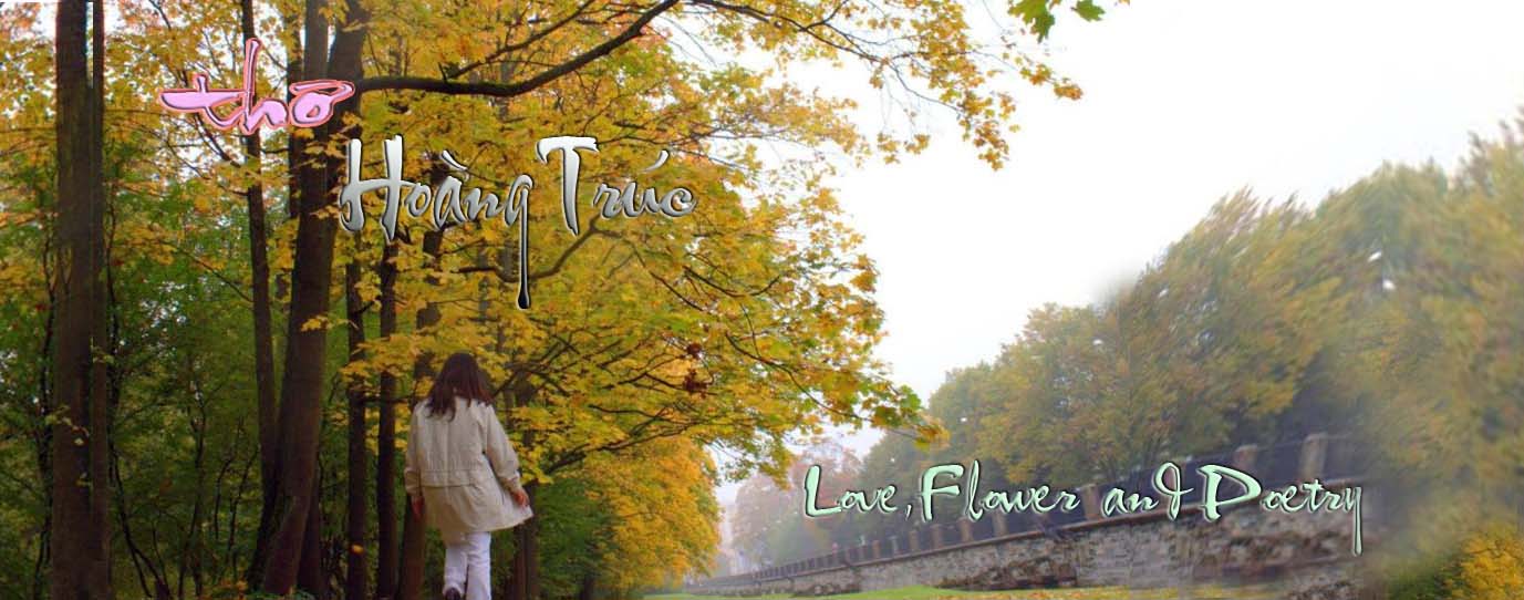 Hoàng Trúc. Love - Flower and Poetry