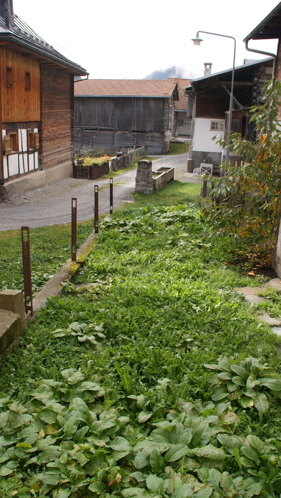 Vrin Ferienhaus 2019