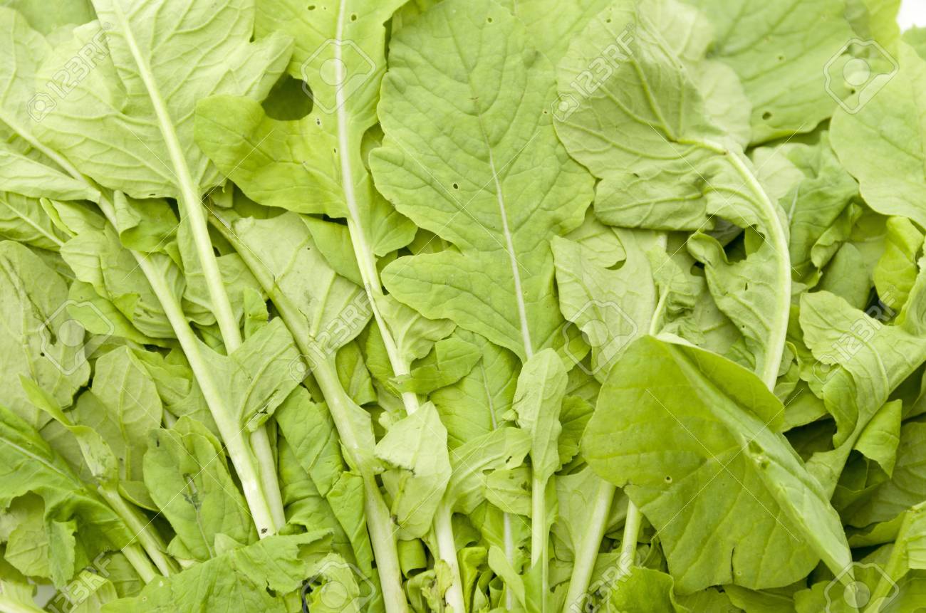 Medicinal uses of radish Leaves