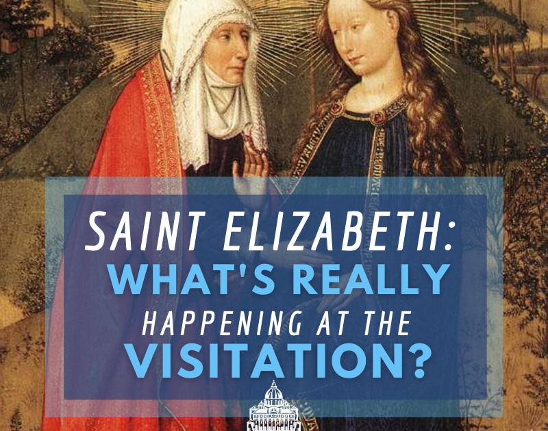 What's Really Happening at The Visitation The Ark Comes to Elizabeth