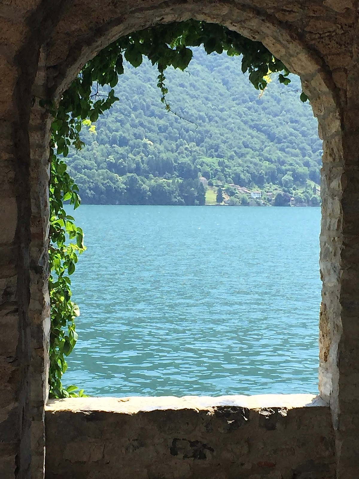 Il giardino delle ortensie