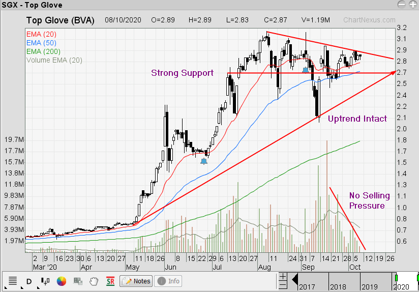 The Technical Dividends Investor Top Glove Still The King of Glove
