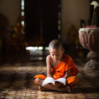 Young monk