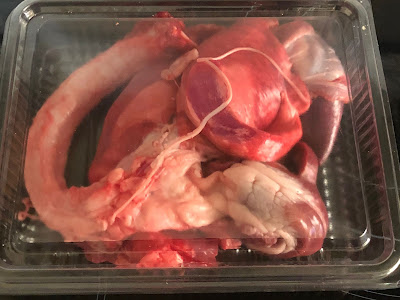 pulmón-corazón-cordero