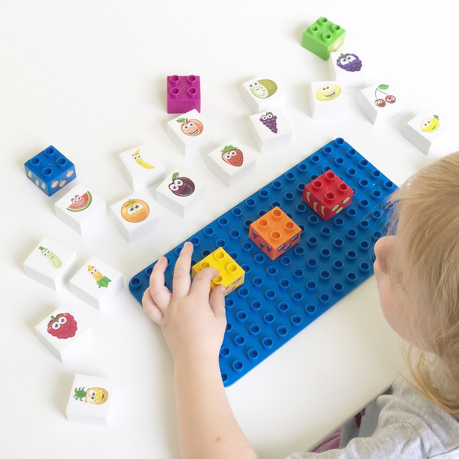 biobuddi building blocks
