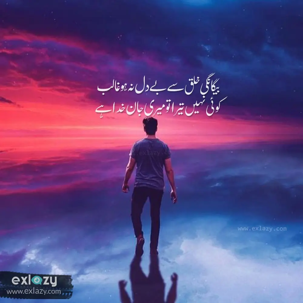 Best 50 Urdu Poetry Status for Whatsapp (Copy Paste)