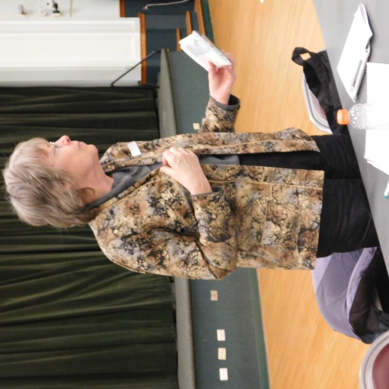 Albany NY Chapter of the American Sewing Guild Neighborhood Group