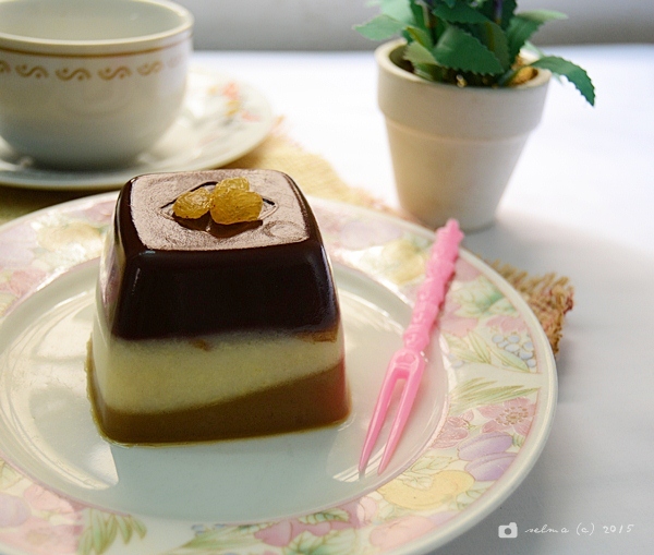 DAPUR RESEP 101 RESEP PUDING TIRAMISU