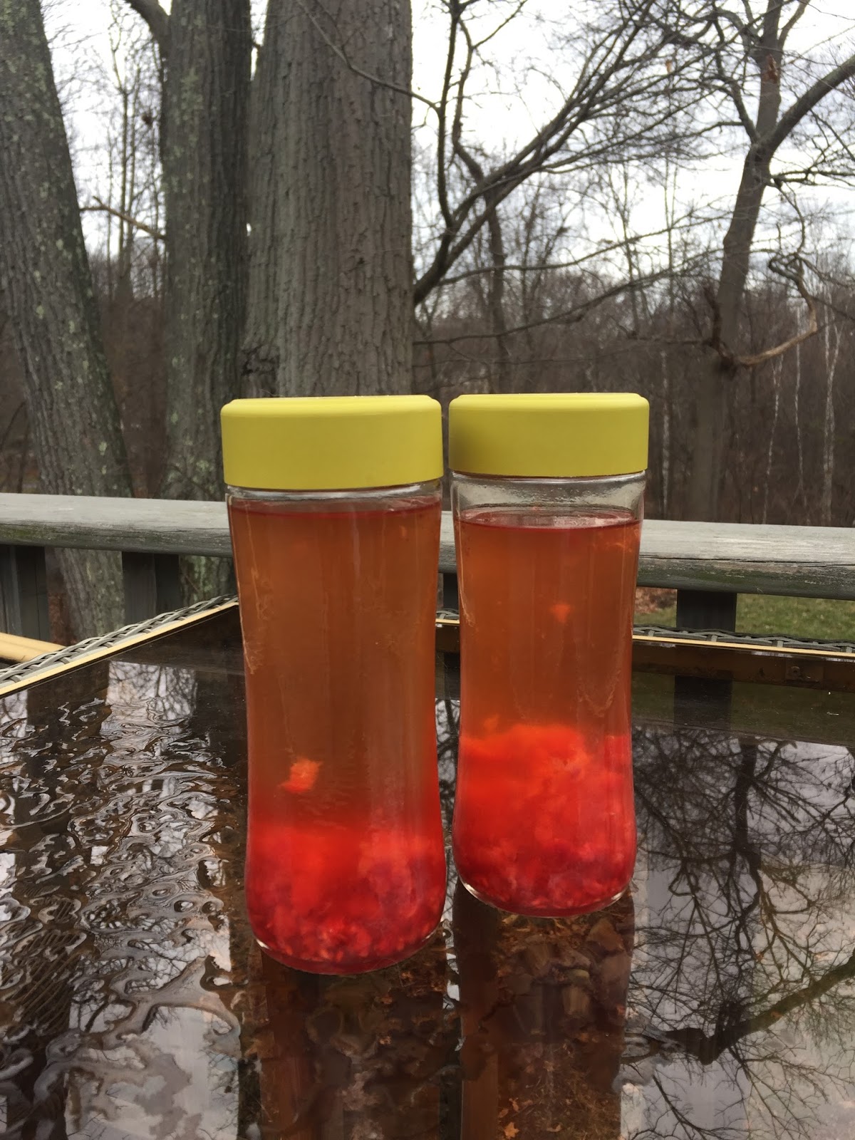 10🐞10 (Ten Mari) Lost Cat & Healing FoodBev Homemade Raspberry Kombucha