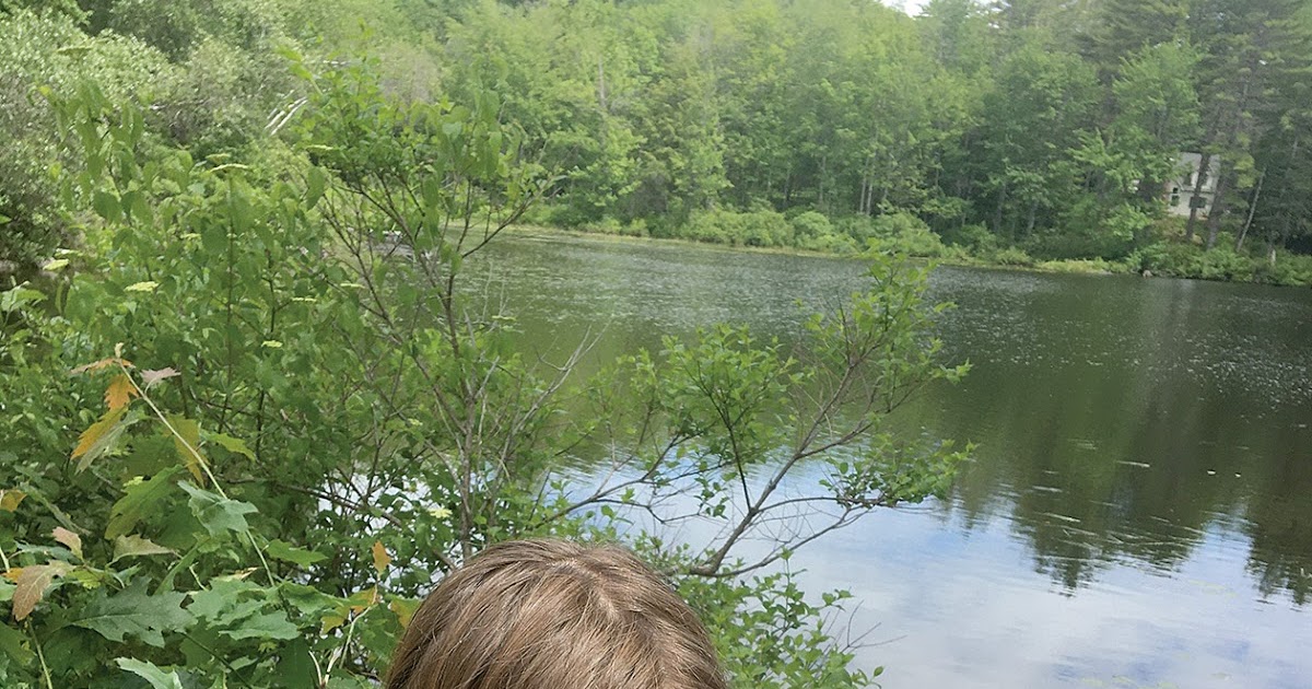 The Windham Eagle Raymond Village Library offers curbside pickup