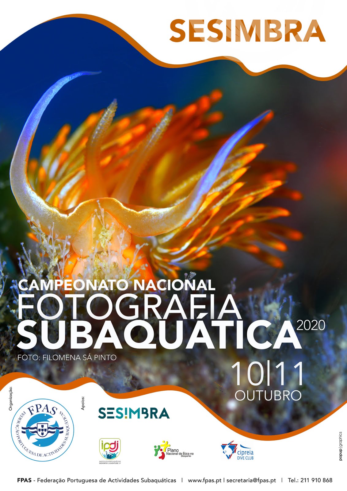 XXIX CAMPEONATO NACIONAL DE FOTOGRAFIA SUBAQUATICA 2020