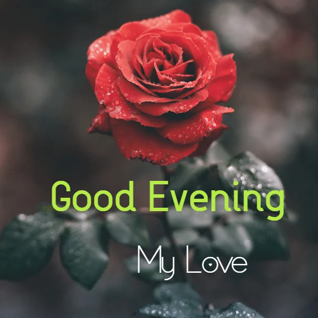 Good Evening Images Good Evening Images
