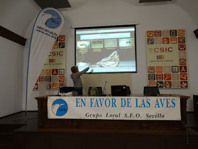 Conferencia: "Efectos de las carreteras en las aves".<br> Por Pedro Sáez.